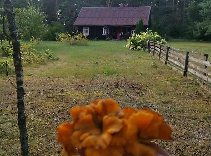 Appartement Sena Troba *