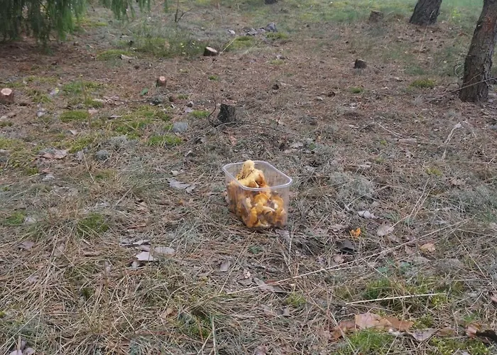 Sena Troba * Druskininkai