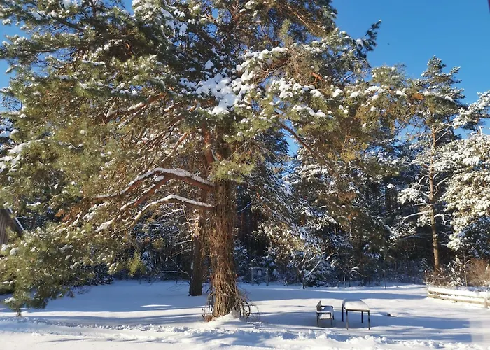 Apartment Sena Troba